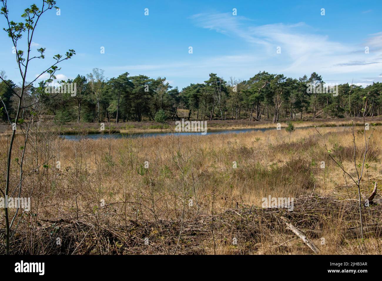 Gennepse hei hi-res stock photography and images - Alamy