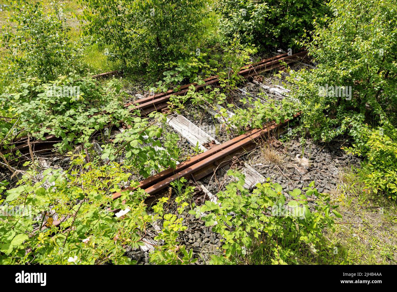 rusty rails with wooden sleepers and encroaching vegetation Stock Photo ...