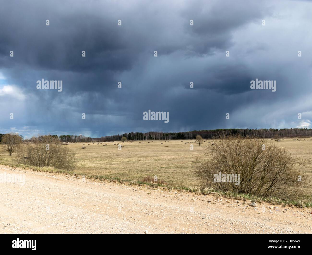 simple rural landscape with a rural road, beautiful cumulus clouds ...