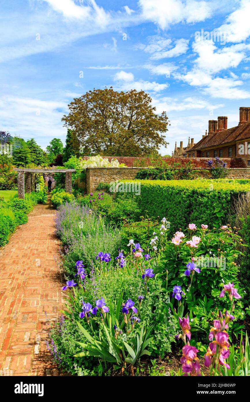 Colourful iris flowers alongside a path through one of the gardens at Barrington Court with Strode House beyond, Somerset, England, UK Stock Photo