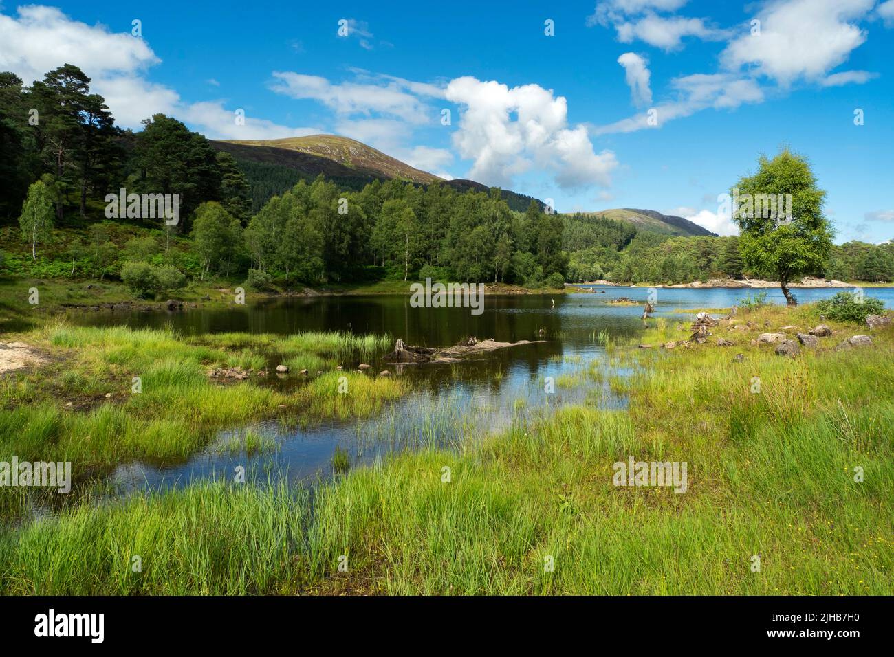 Loch Beinn a' Mheadhoinm,  Glen Affric near Cannich, Highlands Scotland Stock Photo