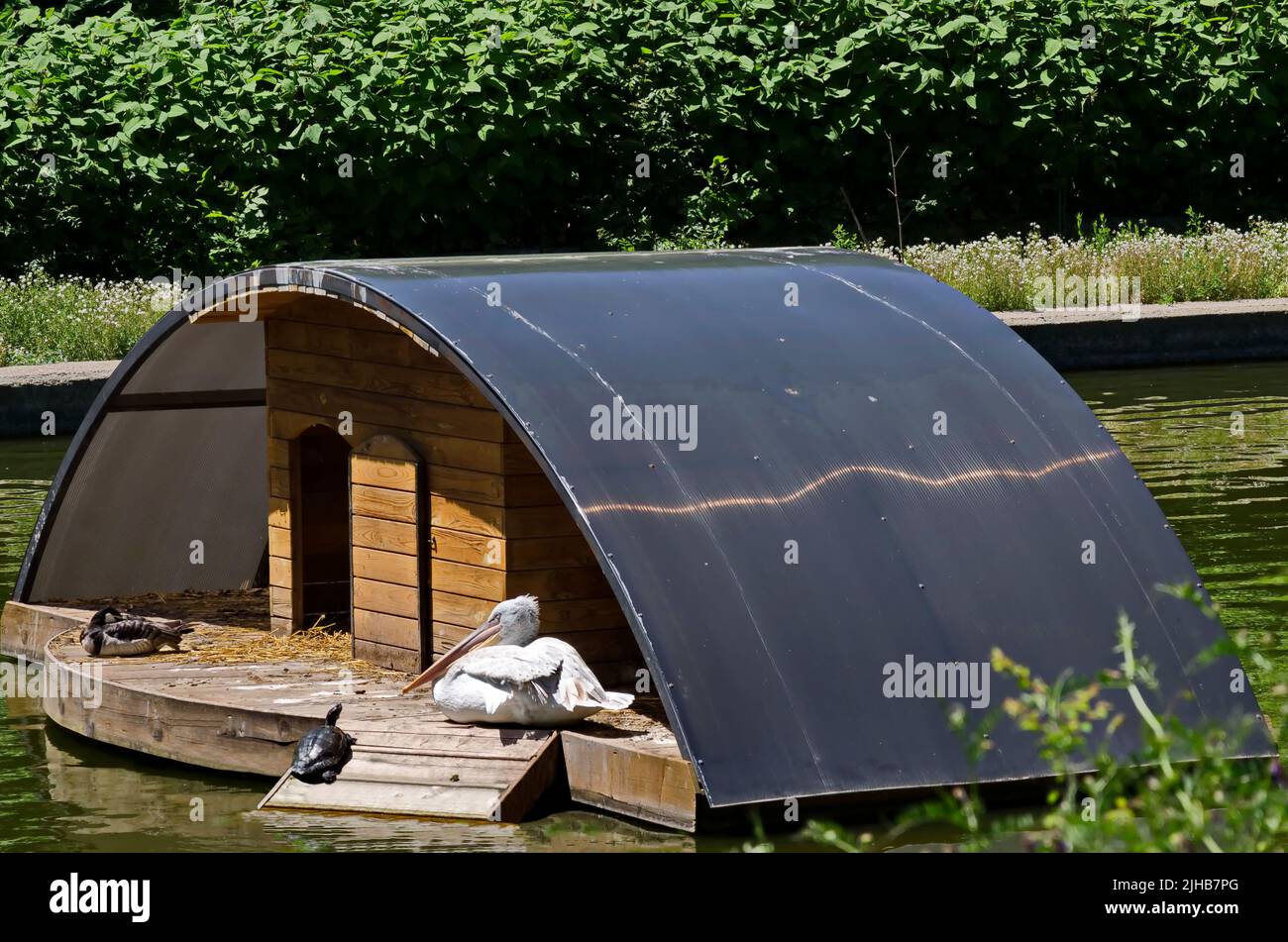 Wooden shed for sheltering birds in the water of a small lake, Sofia, Bulgaria Stock Photo