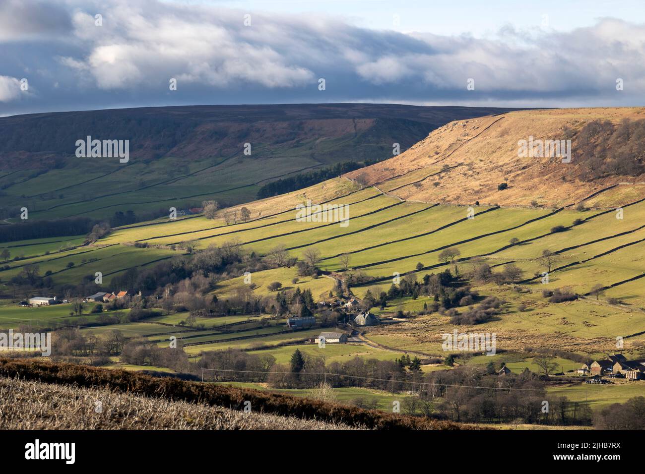 Great Fryupdale from Glaisdale Rigg above Street, North York Moors National Park, Yorkshire, England Stock Photo