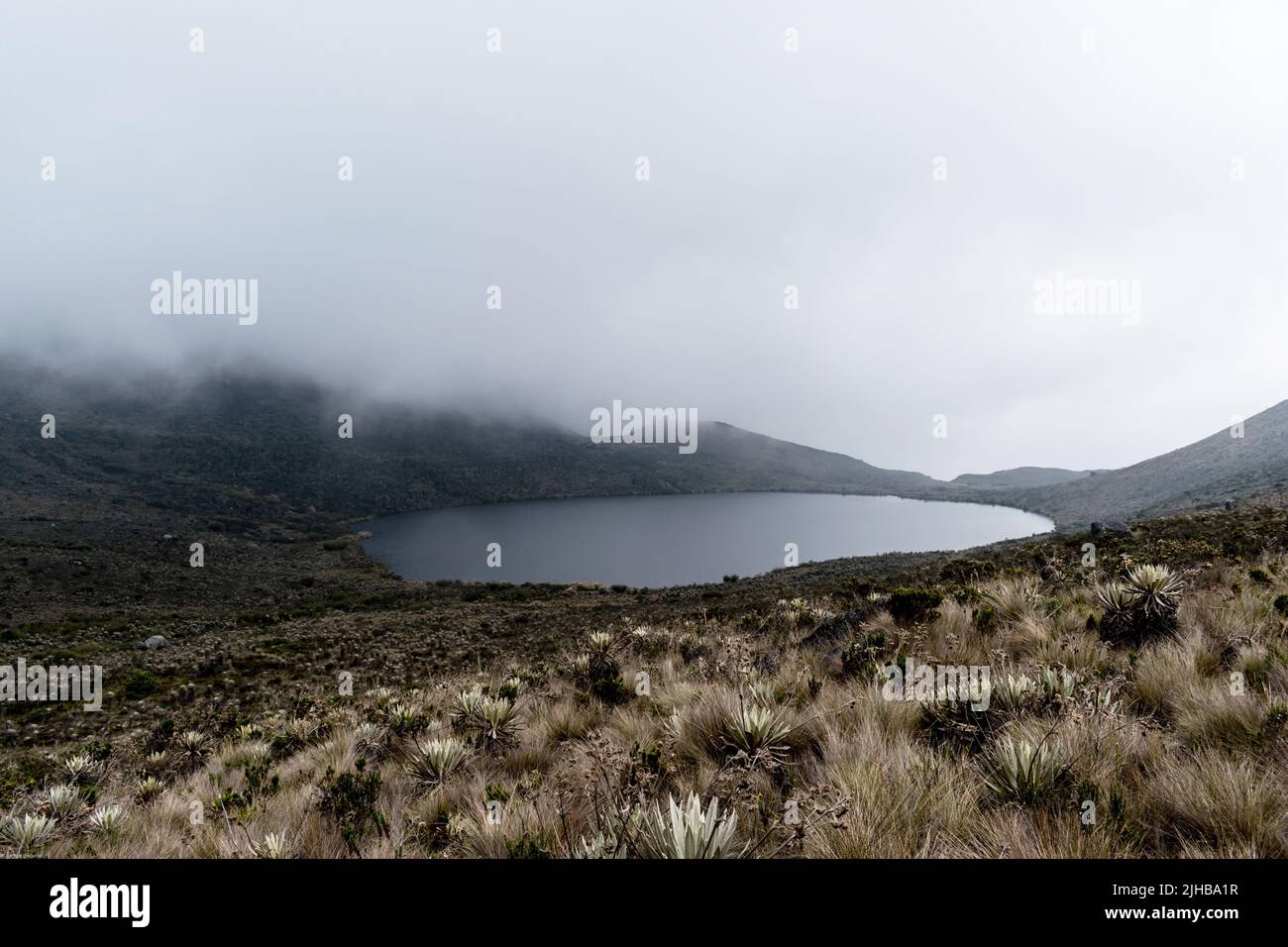Sierra nevada national park venezuela hi-res stock photography and