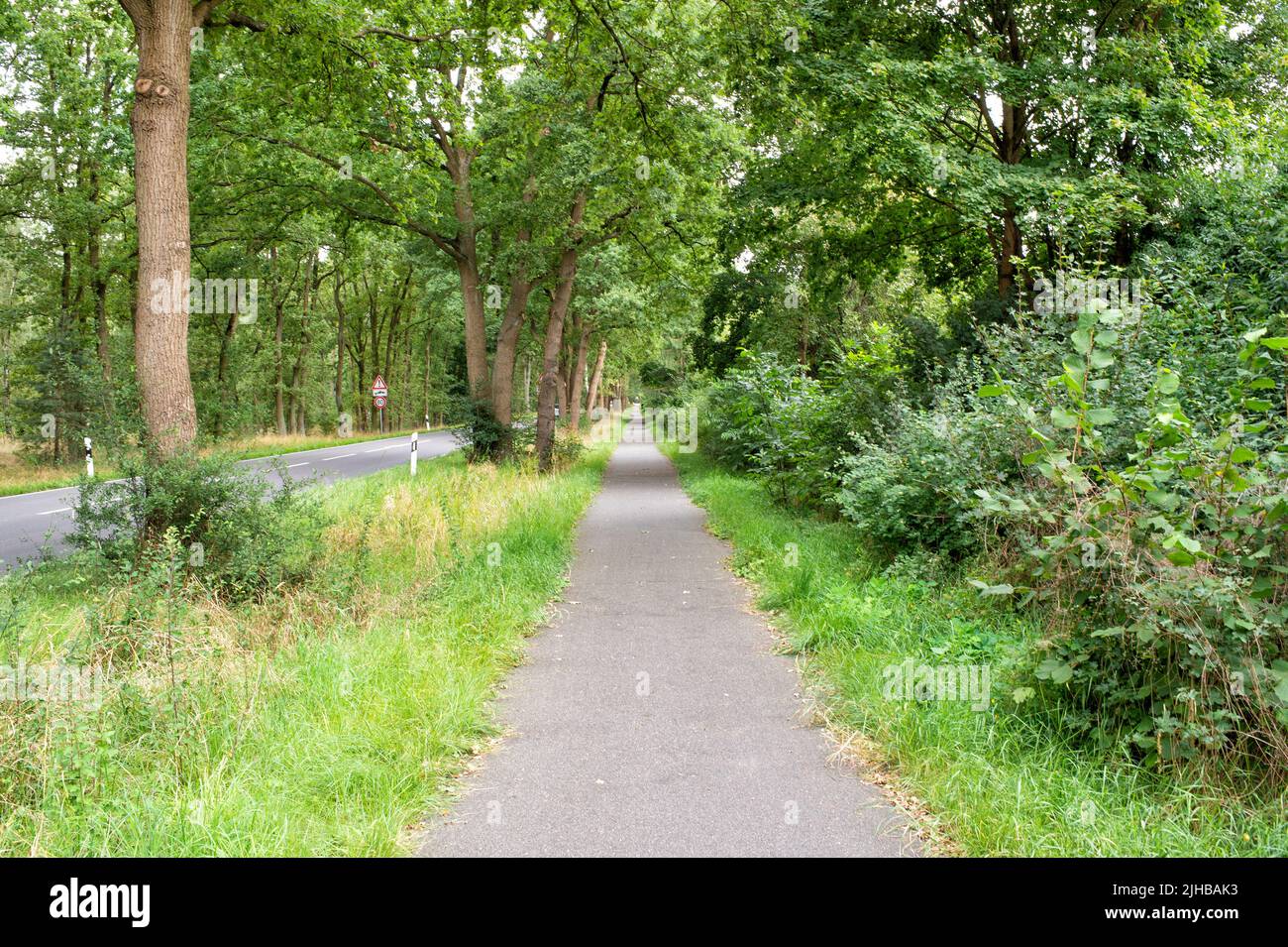 Empty road and scenic walkway path way natural background Stock Photo ...