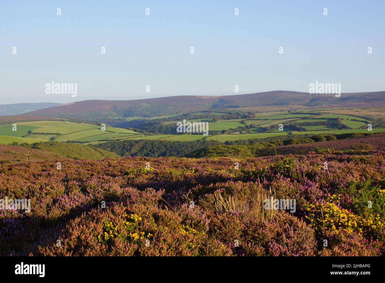 A scenic moorland landscape in Exmoor National Park, Somerset (United Kingdom) Stock Photo