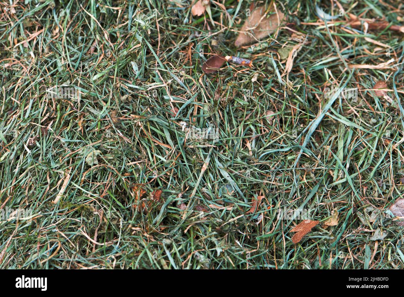 textured background shot of lawn clippings with plenty of room for copy space. Stock Photo