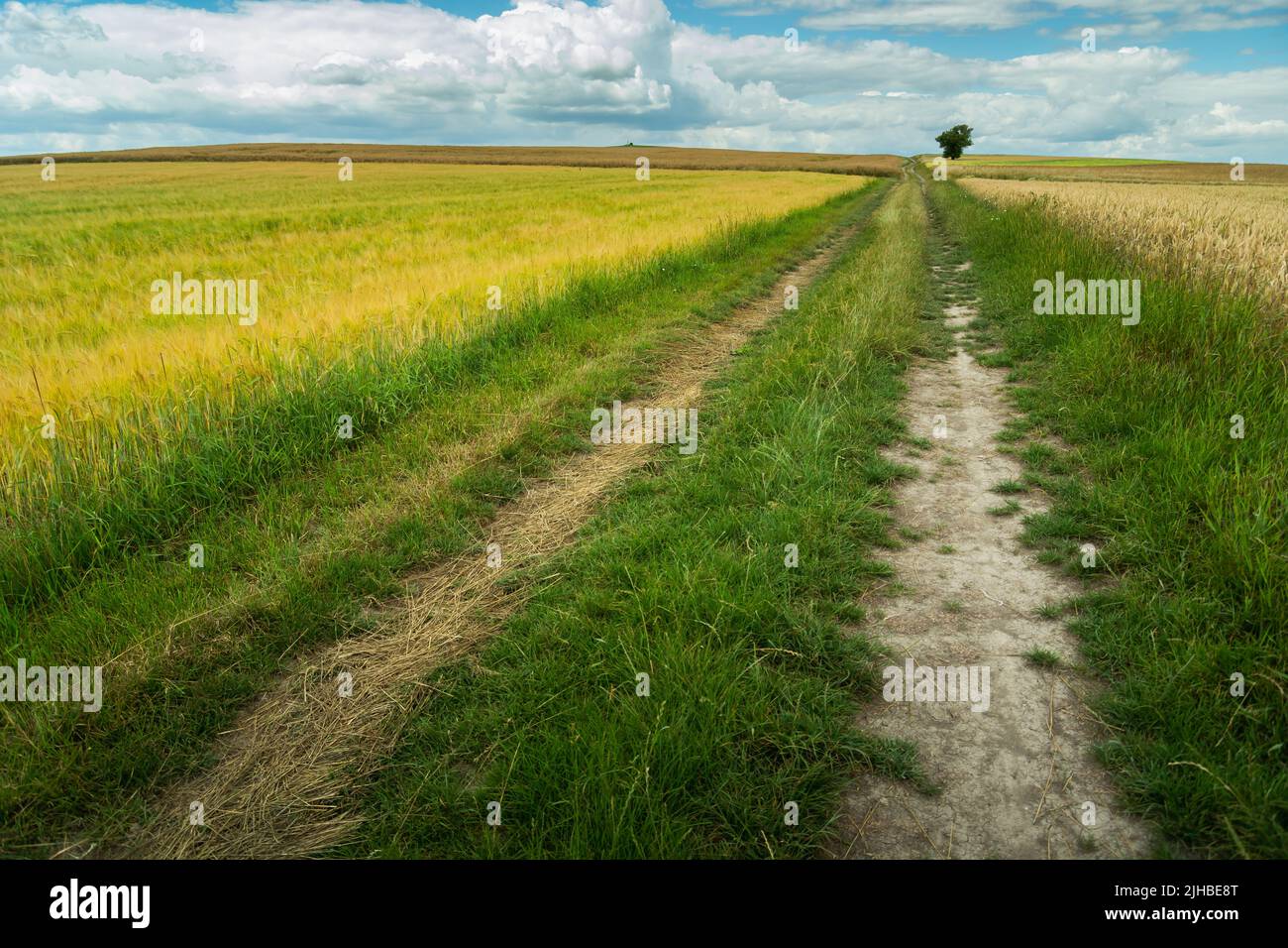 Long straight dirt road through the fields, summer day Stock Photo