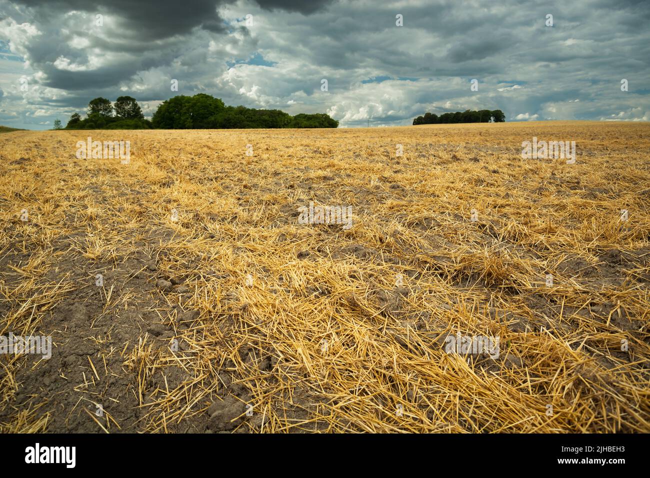 Straw in the field after haymaking and rain clouds, summer rural view Stock Photo