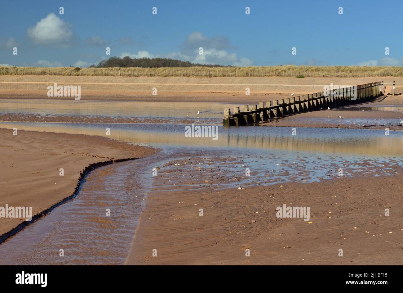 Groynes on the beach at Dawlish Warren, South Devon, at low tide. Stock Photo