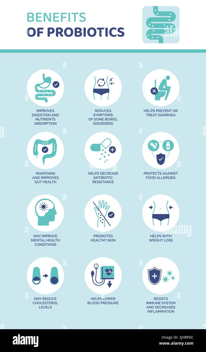 Benefits of probiotics medical infographic with icons set digestive