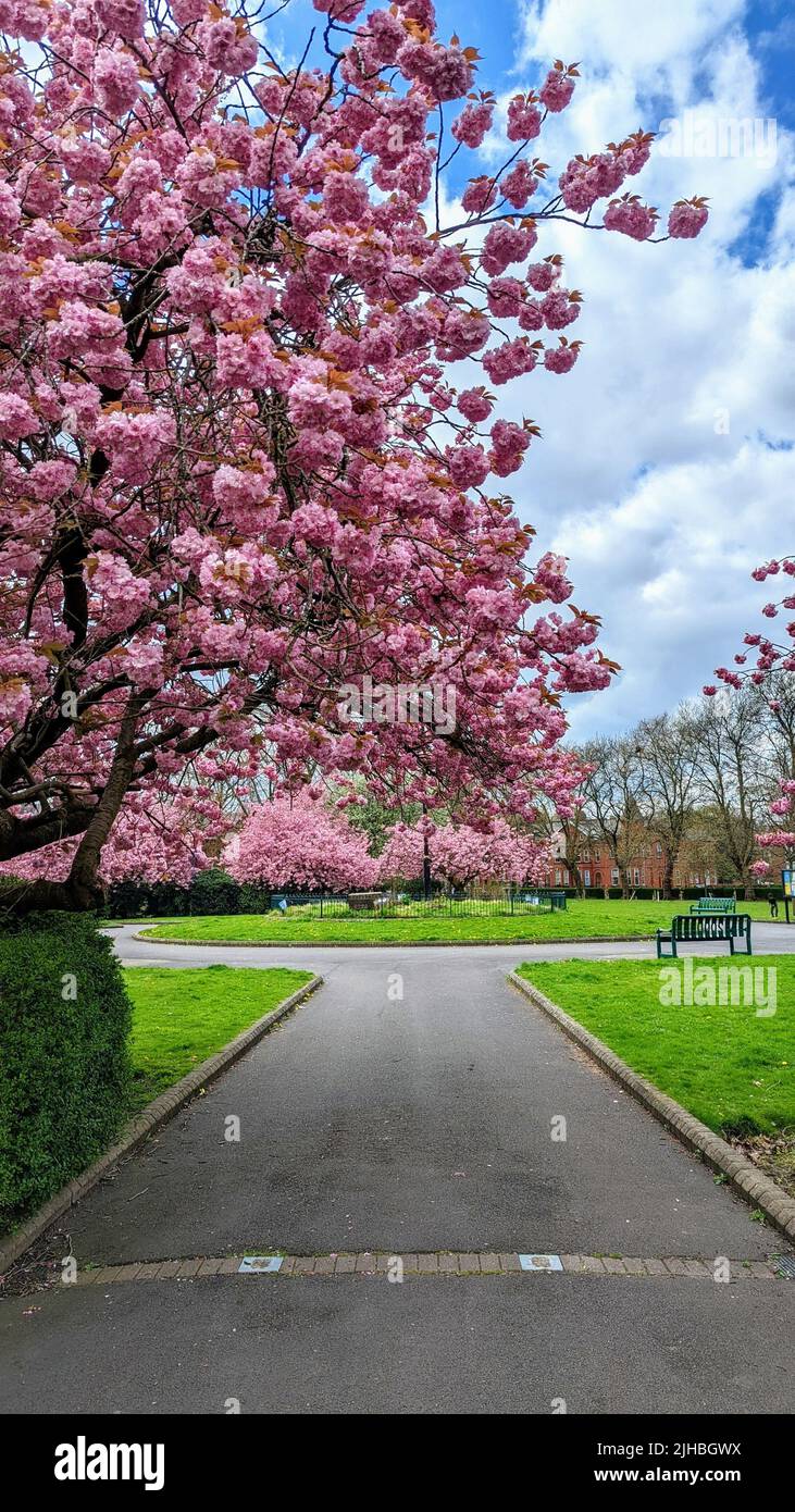 Vertical shot park walkway hi-res stock photography and images - Alamy