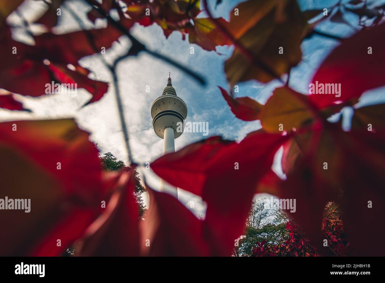 City park Planten un Blomen at autumn. View of Heinrich Hertz Tower is