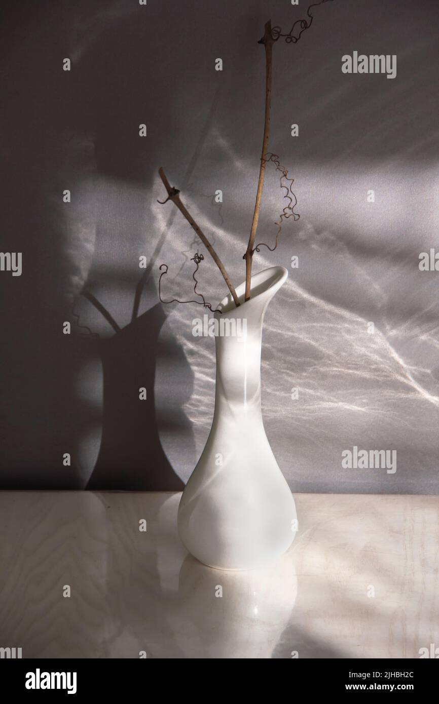 White vase with branch and chiaroscuro Stock Photo