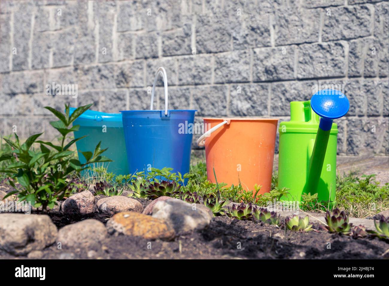 colored buckets for watering flowers in flower bed and a watering can