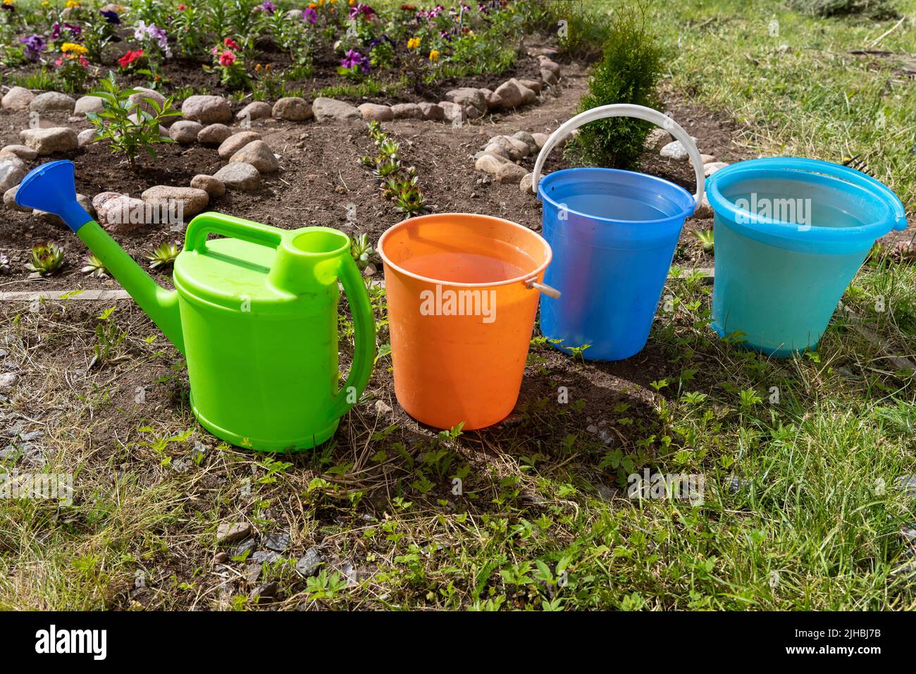 colored buckets for watering flowers in flower bed and a watering can