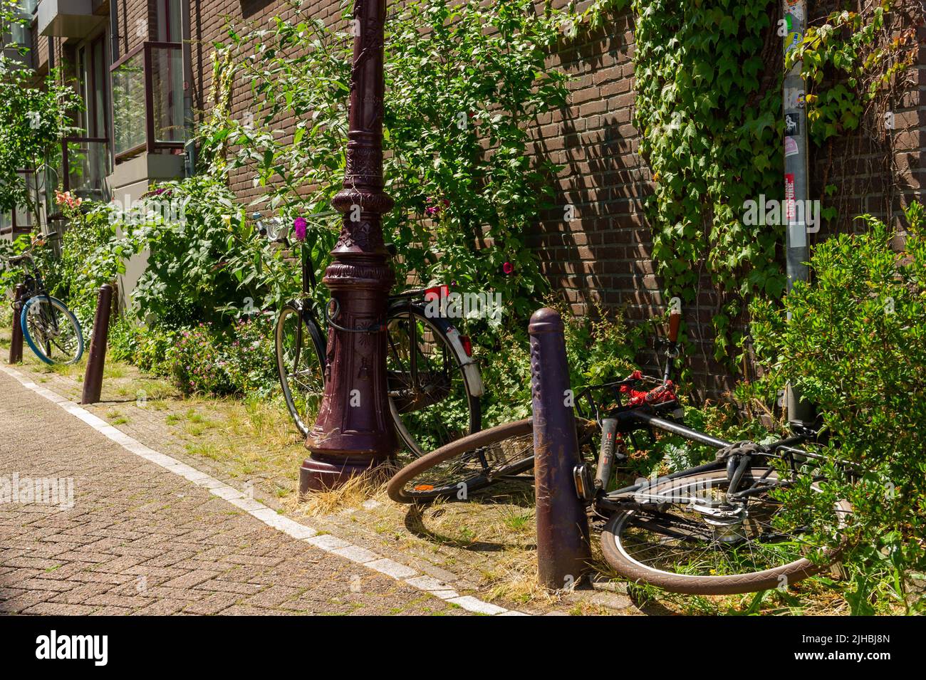 Abandoned Bicycles on an Amsterdam side street in the sunshine Stock Photo