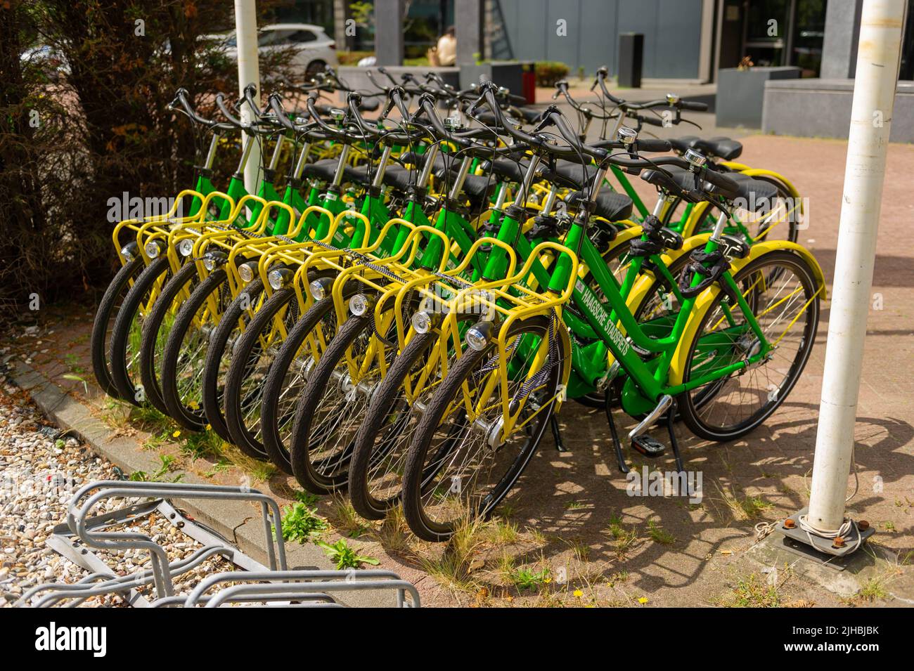 Eco-Friendly Haagsche Bike Sharing, Den Haag, The Netherlands Stock Photo