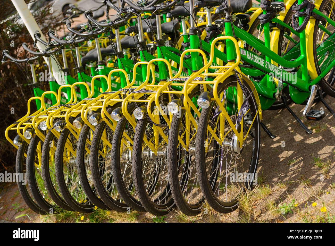 Eco-Friendly Haagsche Bike Sharing, Den Haag, The Netherlands Stock Photo