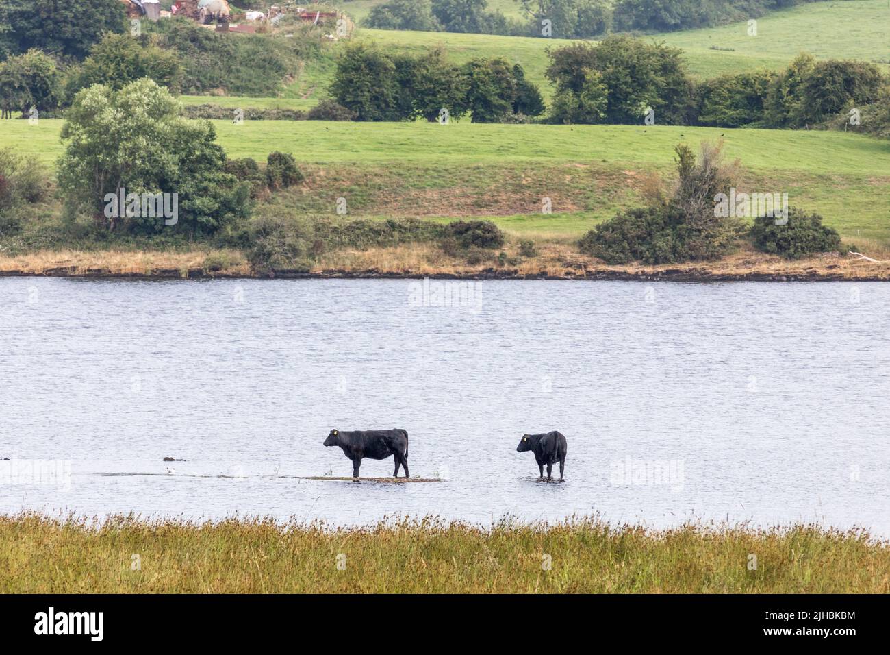 17th july 2022 hires stock photography and images Alamy