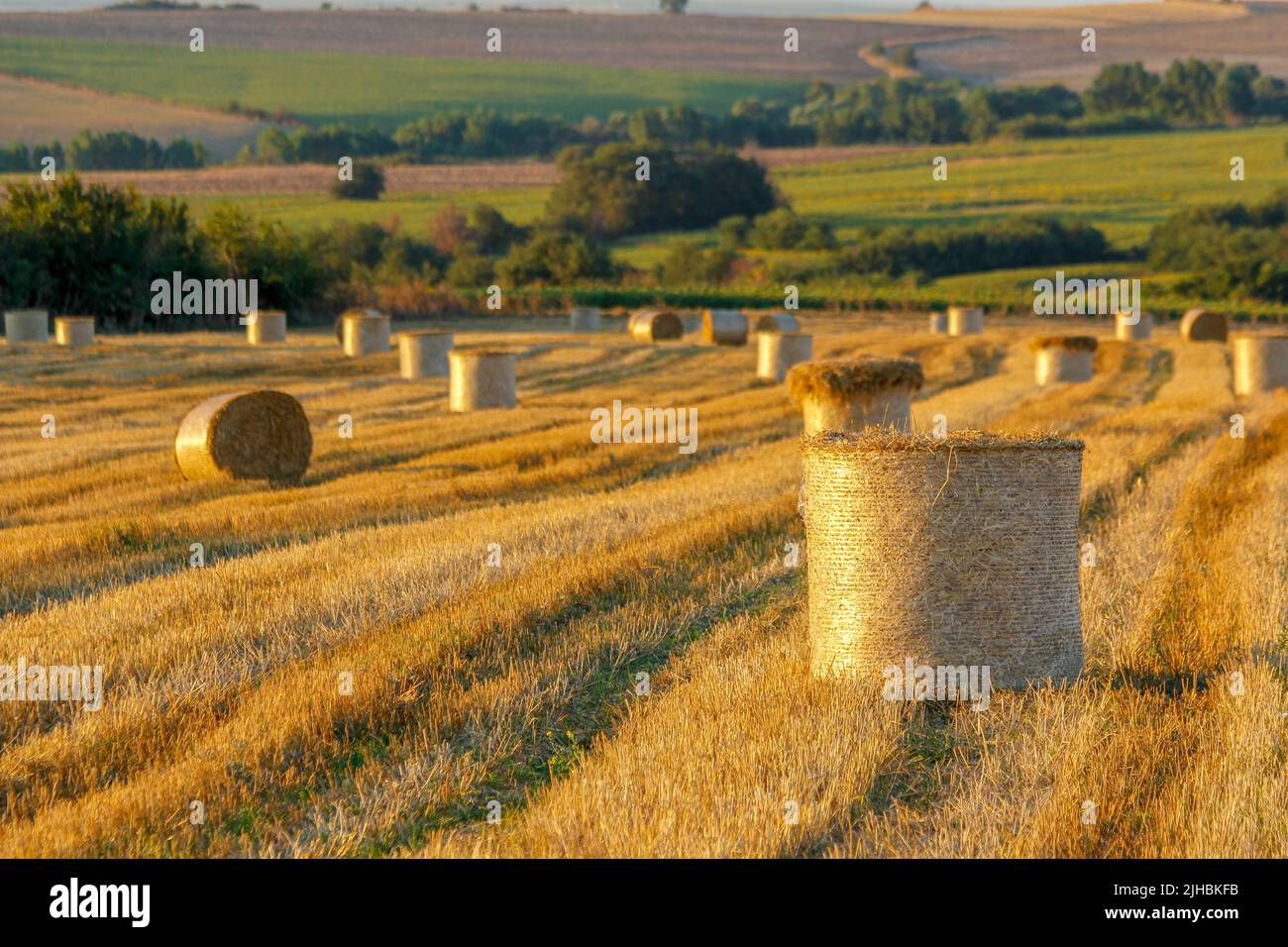 Field after harvesting stacks hi-res stock photography and images - Alamy