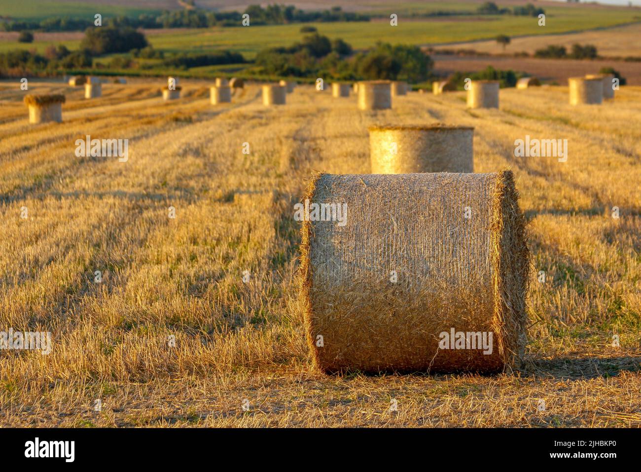 Field after harvesting stacks hi-res stock photography and images - Alamy