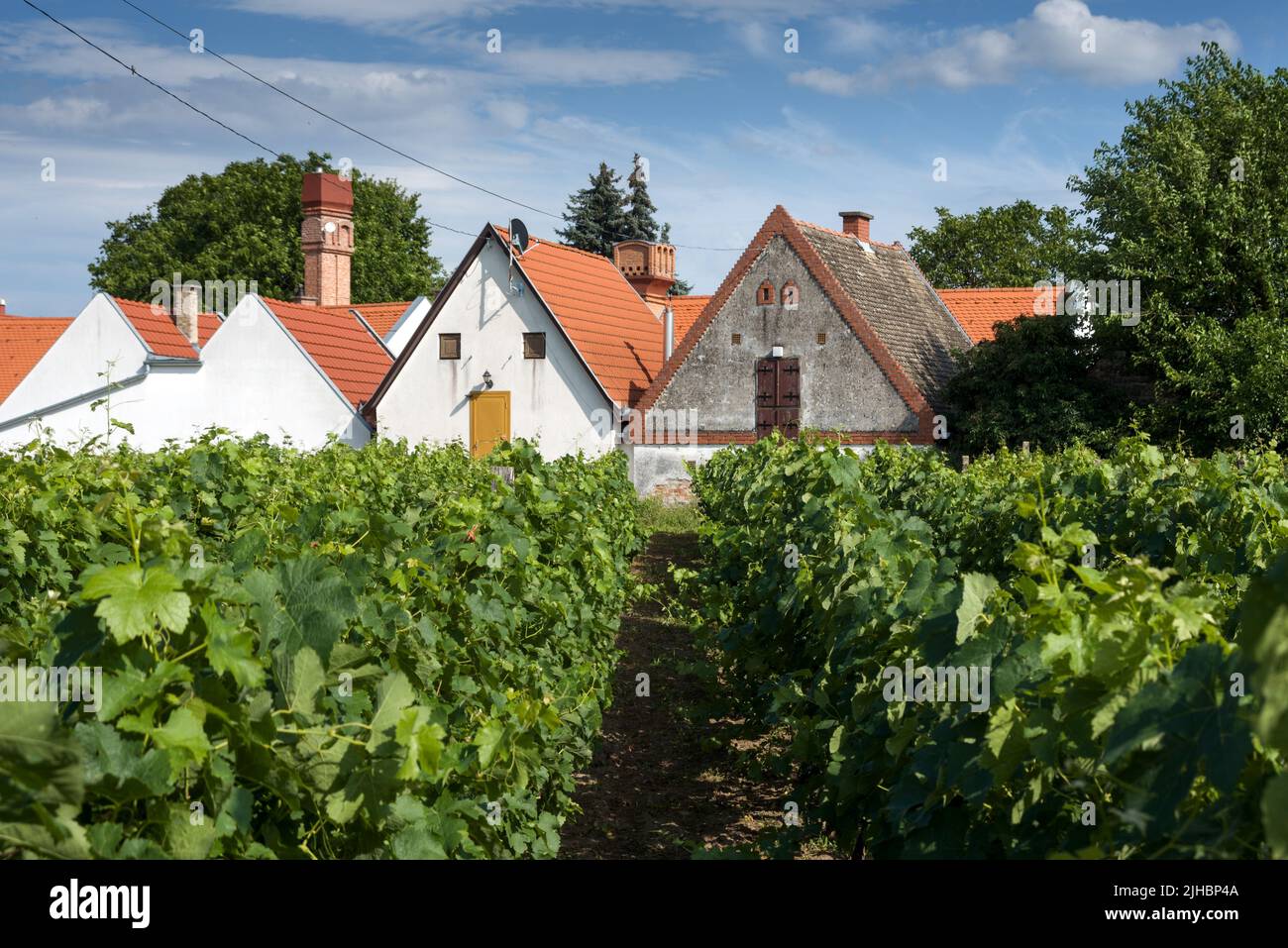 Old winery building in in Hajos, Hungary Stock Photo