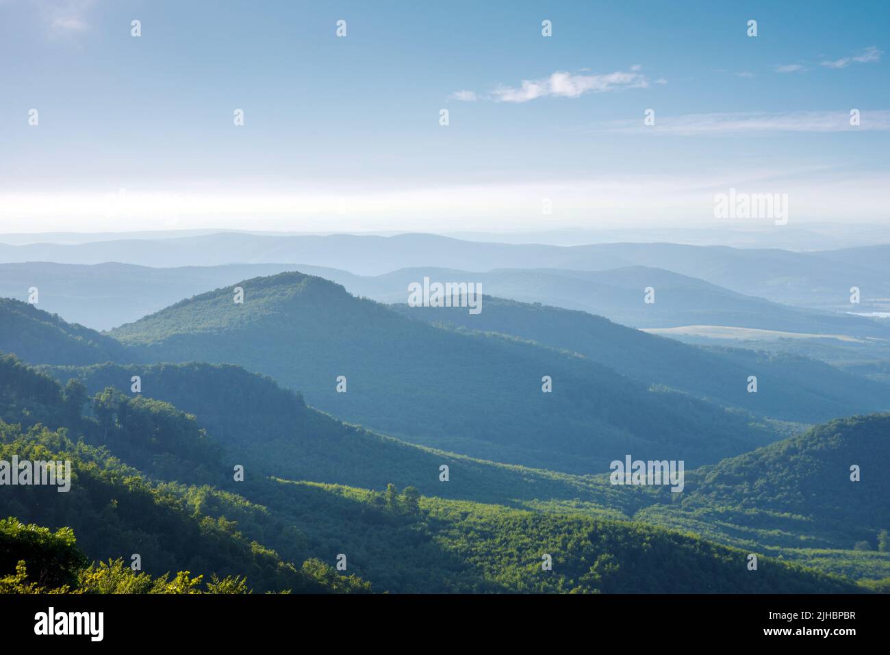 Green hills in mist Stock Photo