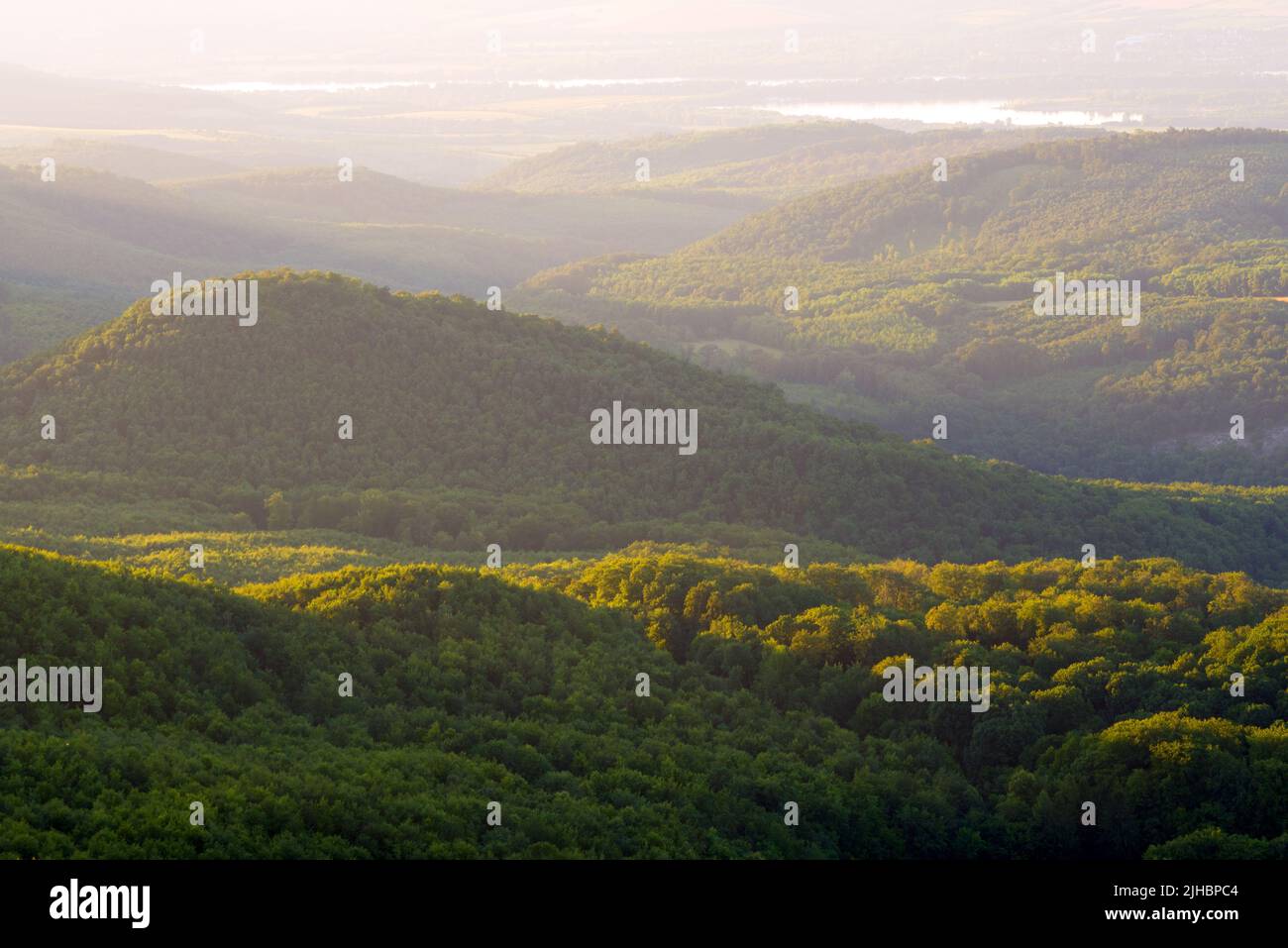 Hills covered with forest in mist Stock Photo