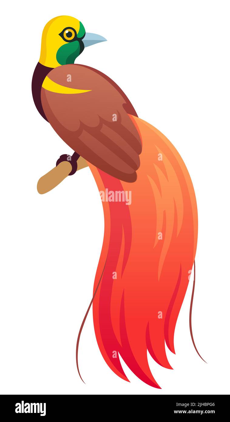 Raggiana bird-of-paradise (Paradisaea raggiana) national bird of Papua New Guinea. Cartoon vector illustration. Stock Vector