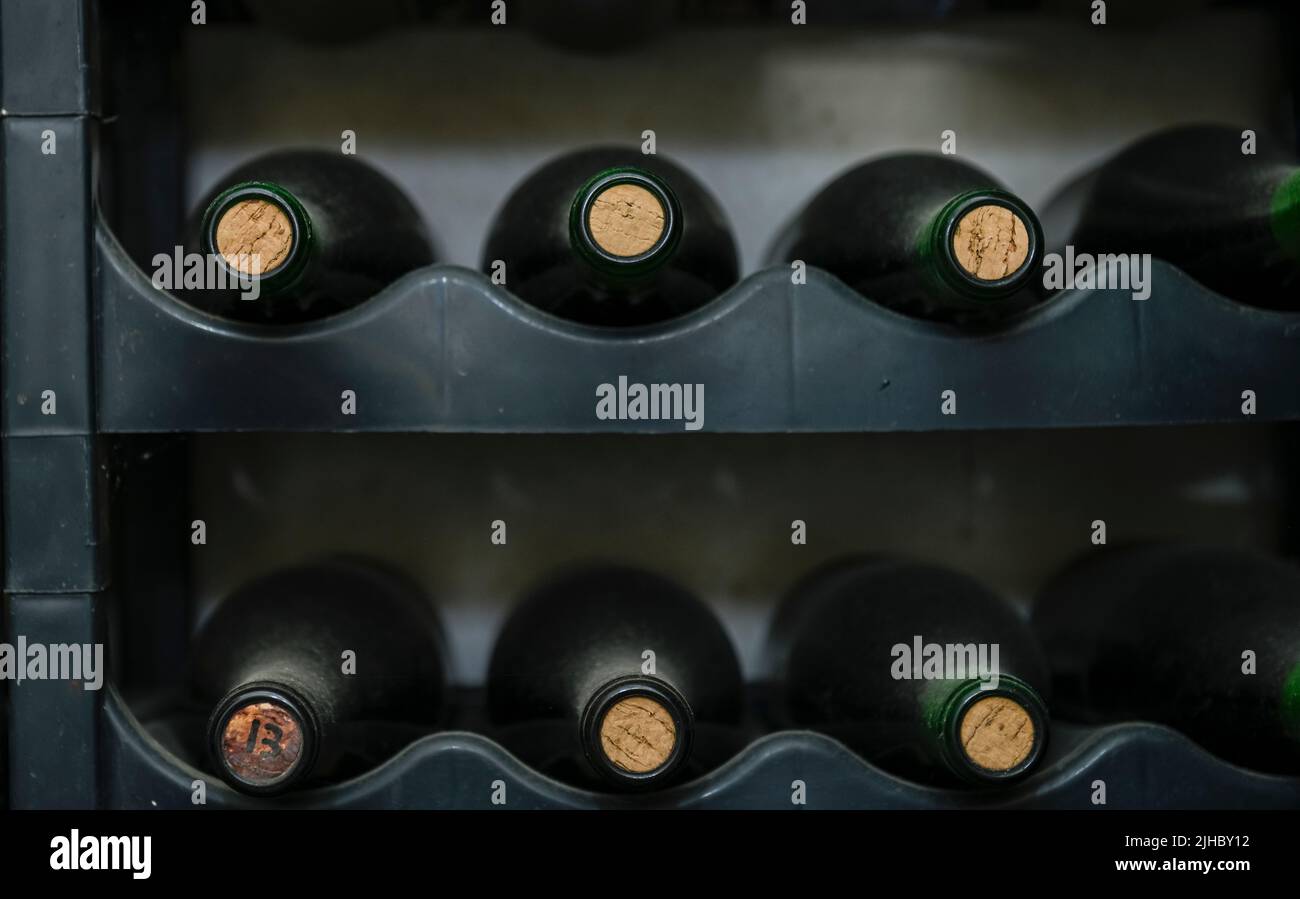 Bottled wines on the shelves inside an underground cellar Stock Photo