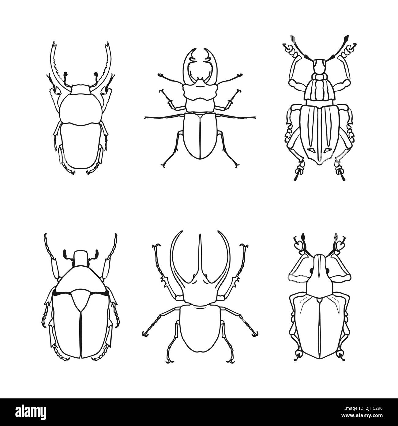 A set of isolated contour drawings of beetles on a white background. Doodle style. A design element. Stock Vector
