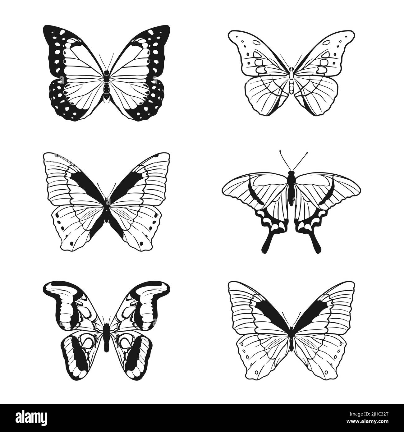 A set of contour drawings of a butterfly on a white background. Doodle style. A design element. Stock Vector