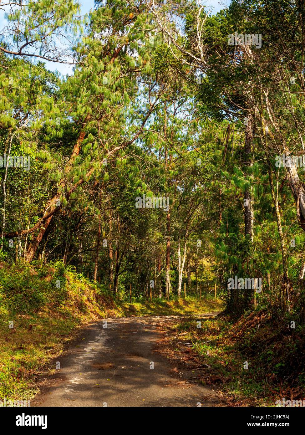 Dirty track on the Bocaina Hills, a popular destination among tourists ...