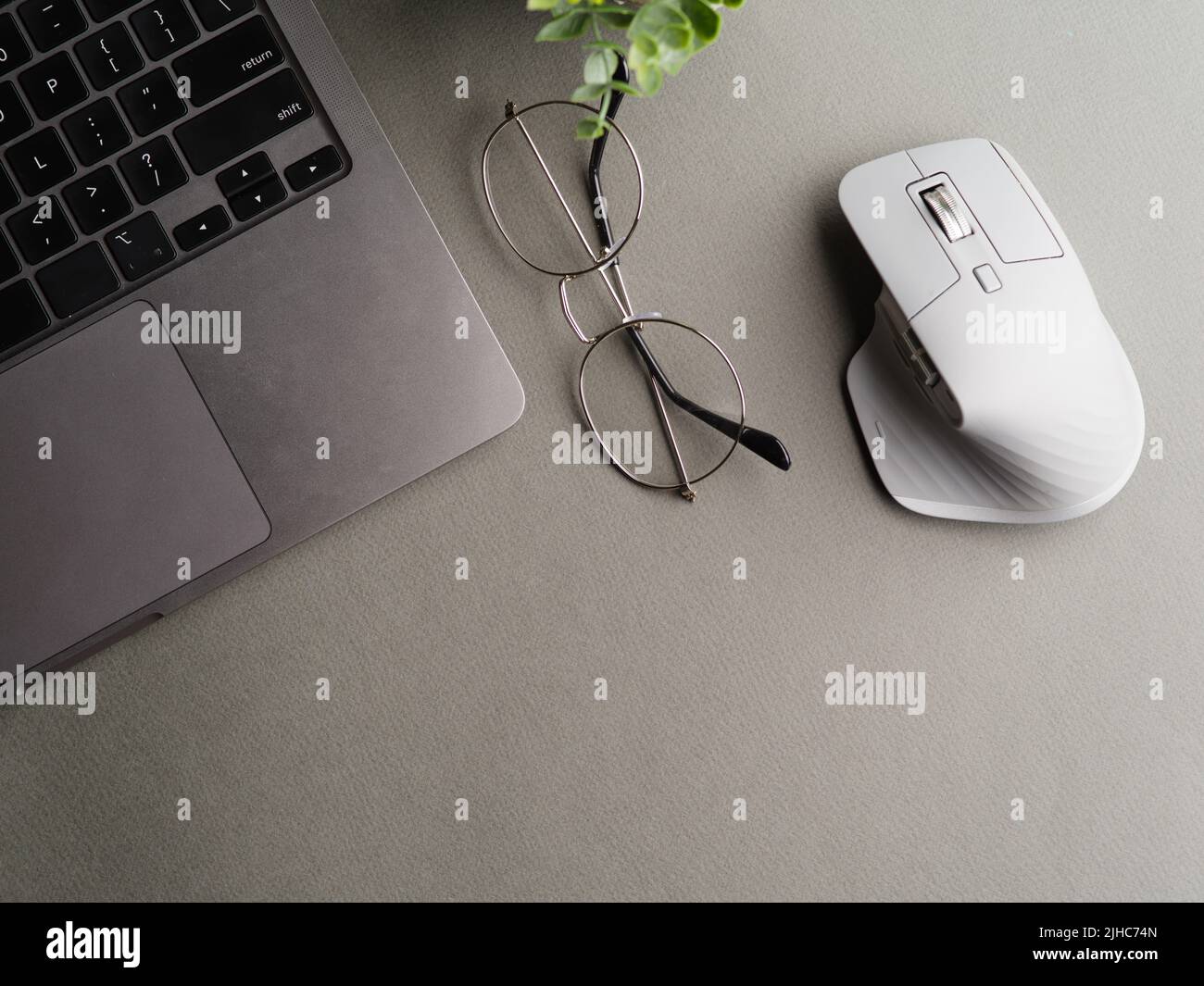 Home Office. Laptop, mouse, glasses and indoor flower on a gray background. Workplace of a programmer, businessman, freelancer, journalist, student. T Stock Photo