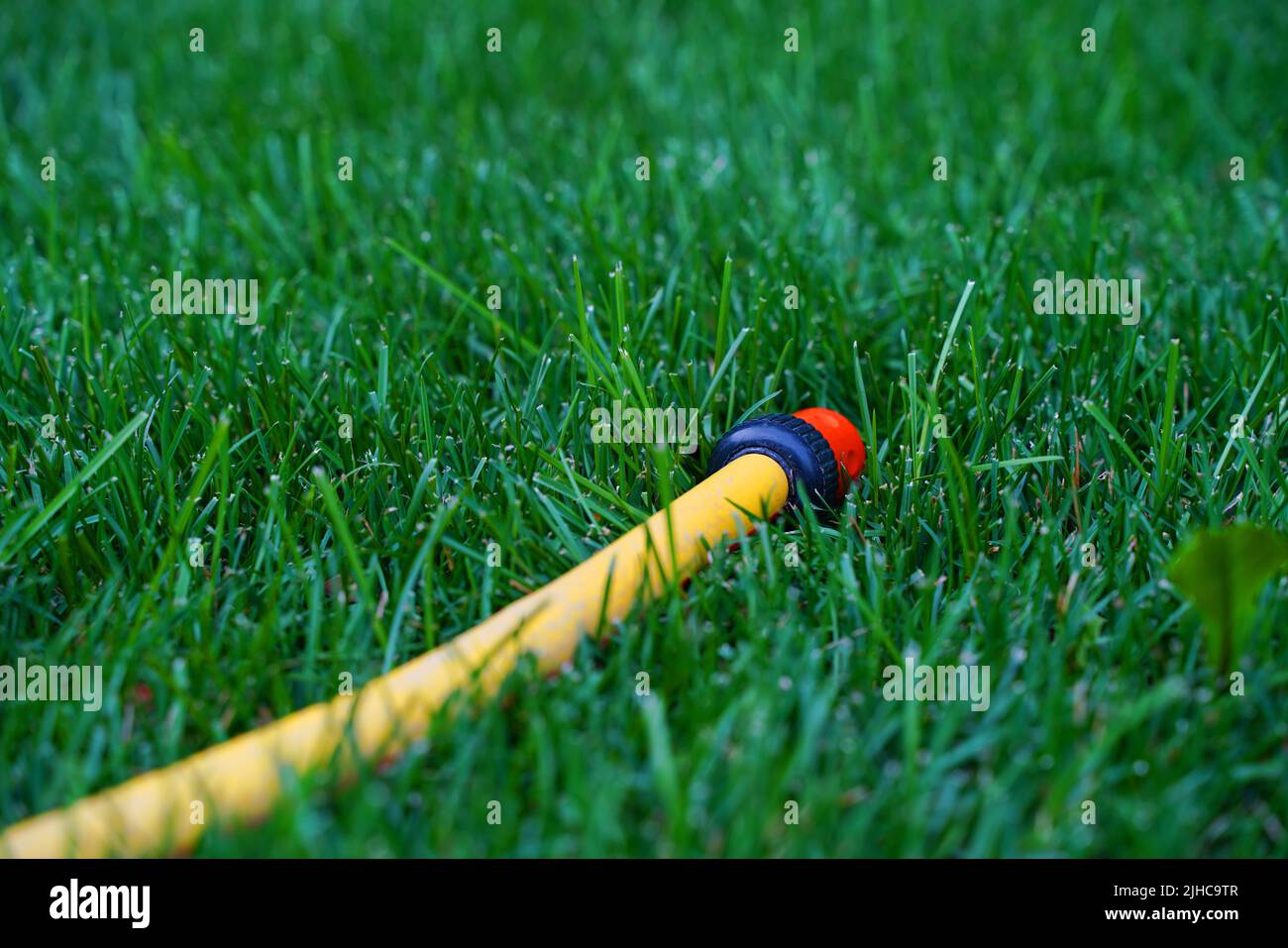 Close up of a yellow plastic water hose with no running water lying a little bent, on green short-cut grass. High quality photo Stock Photo