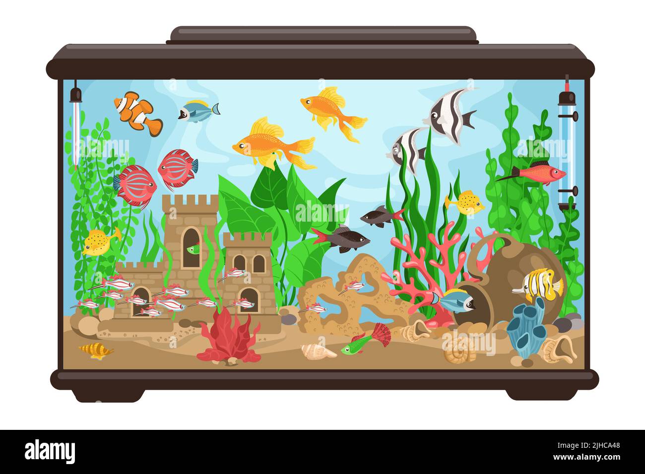 Aquarium with fish. Cartoon fishbowl. Underwater decorative goldfish habitat. Multicolor