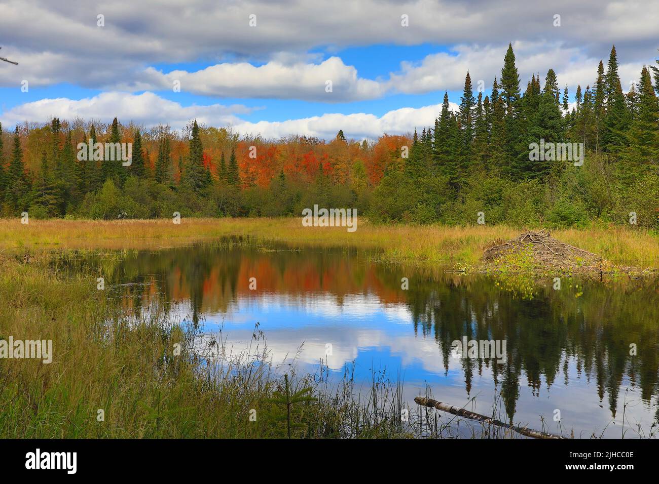 Fall Colors on Northern Lake Stock Photo