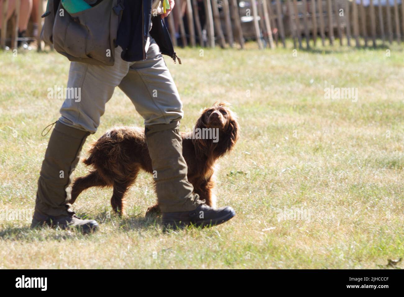 Frank Walker and his cocker spaniel give a display of dog training and obedience at the Tendring