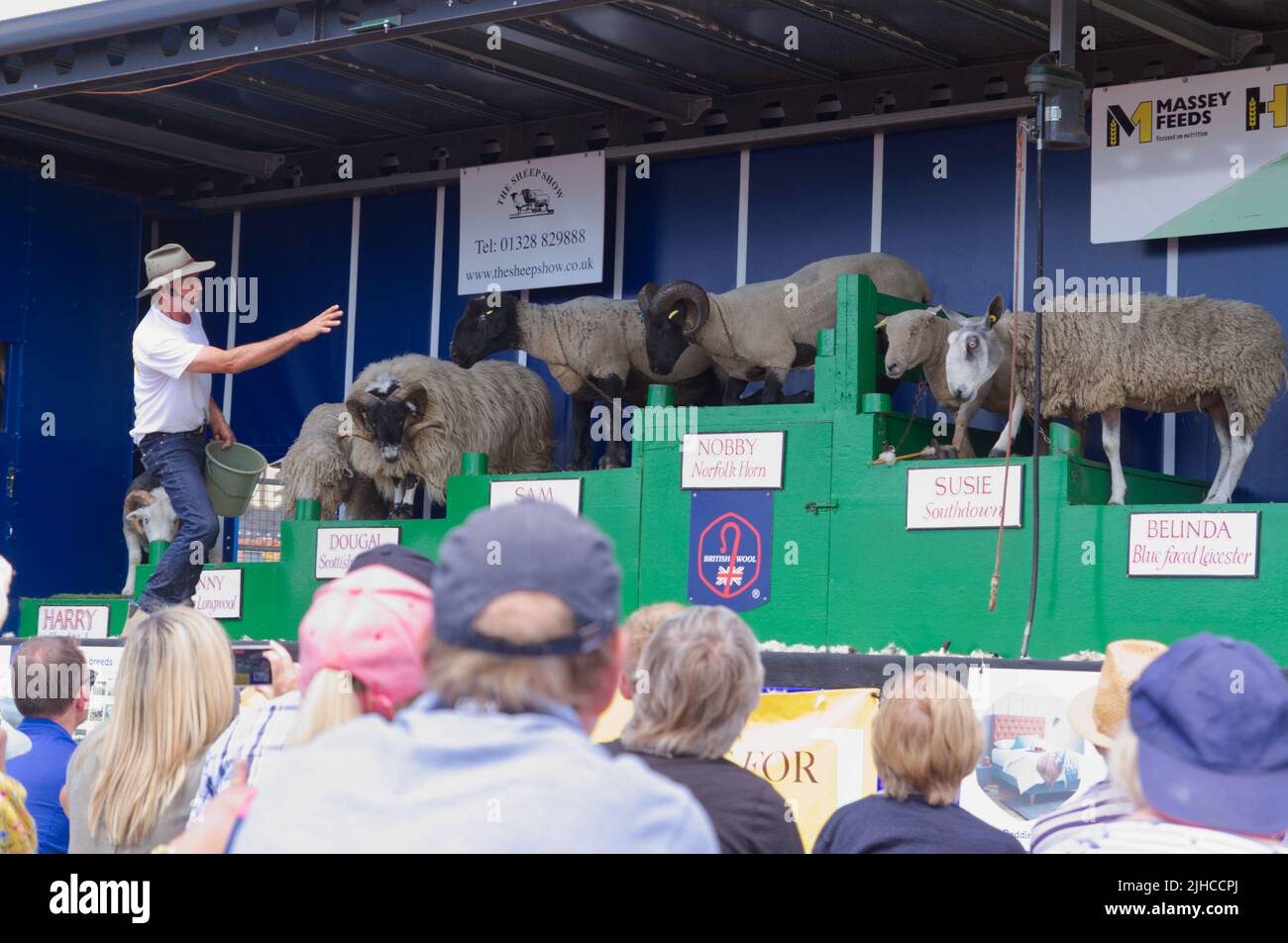 The Sheep Show, a popular part of the Tendring Hundred Show 2022 in