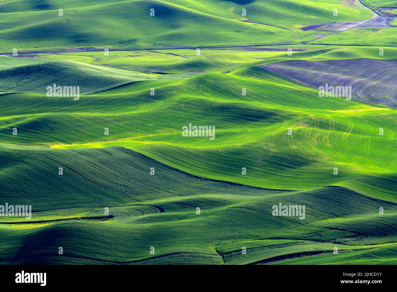Abstract farm fields at sunrise in the Palouse Stock Photo