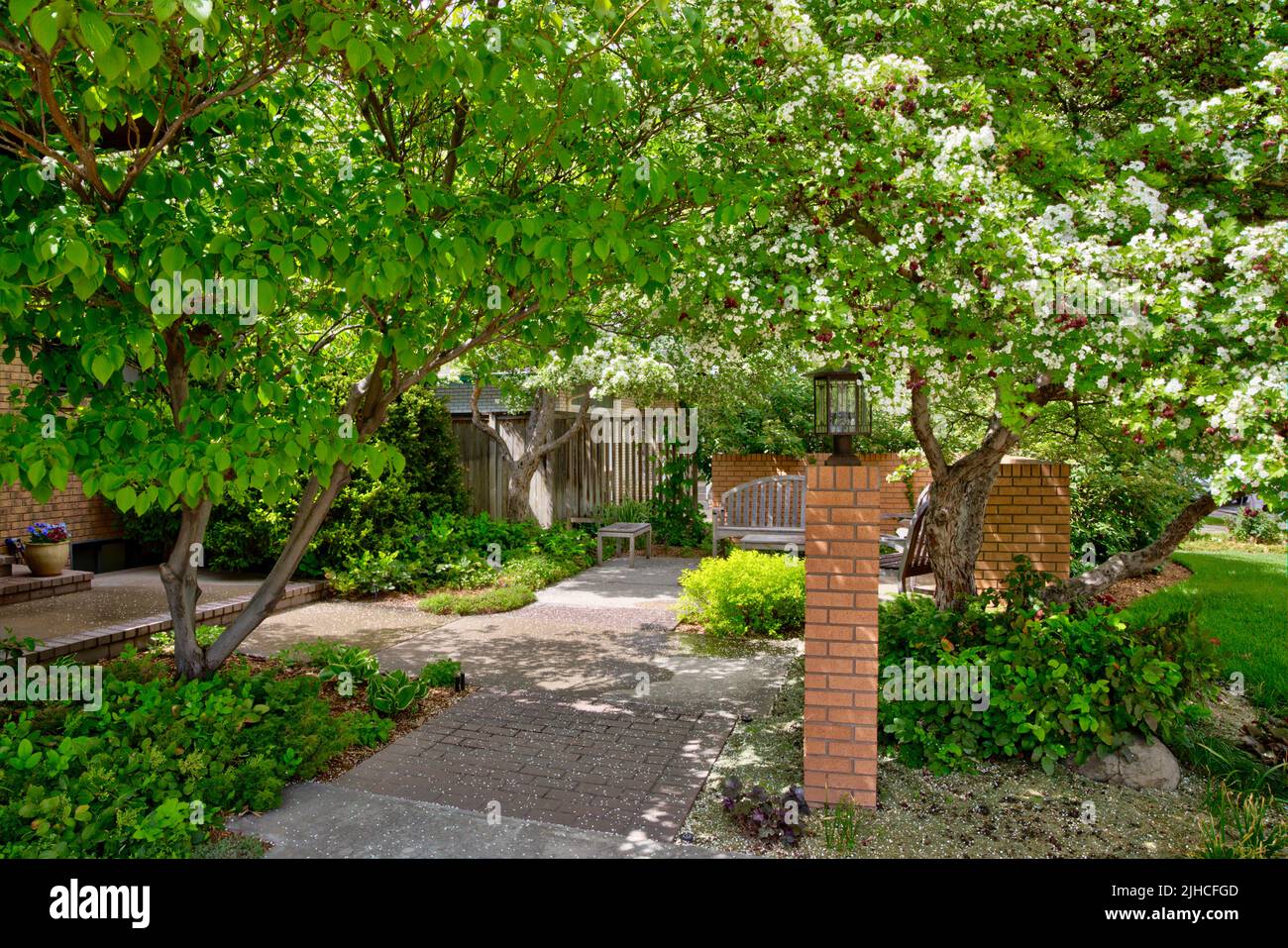 Small front yard patio with part shade loving plants. Stock Photo