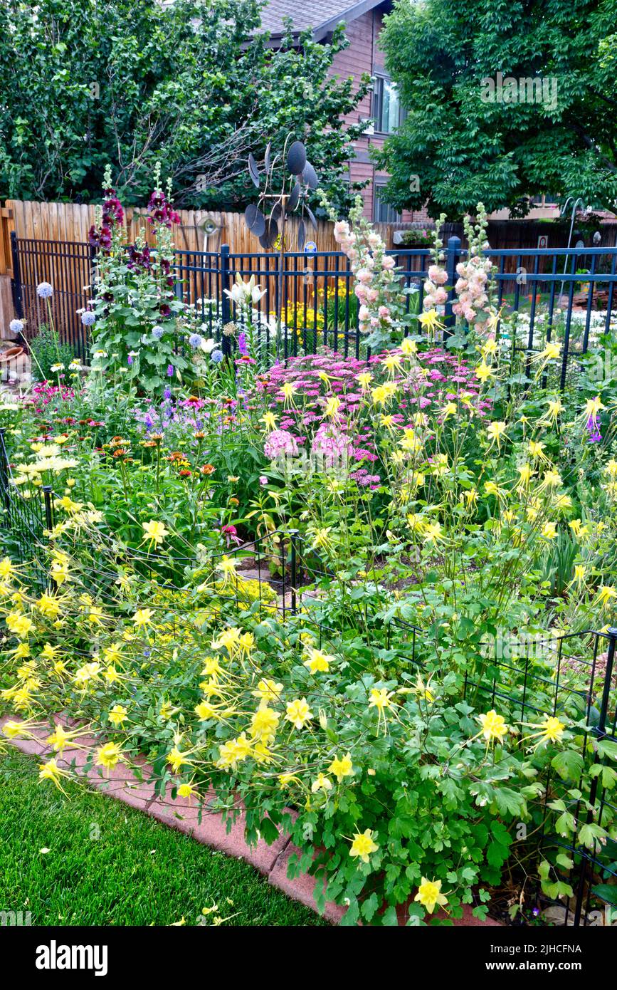 A mid summer garden in full bloom in Denver, Colorado Stock Photo