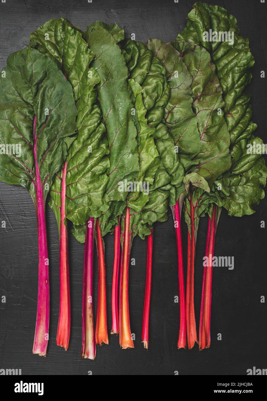 Swiss Chard on a dark surface Stock Photo