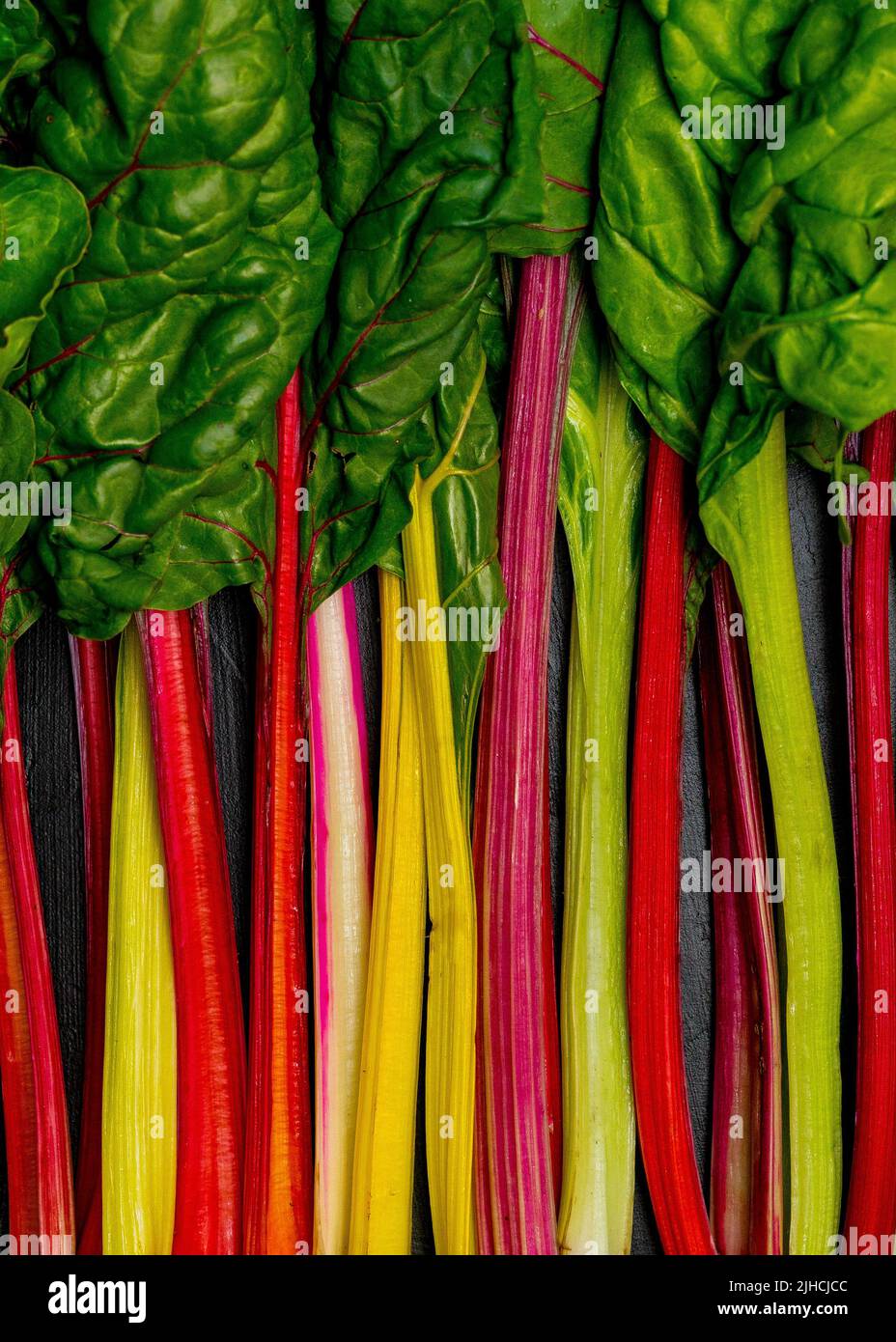 Swiss Chard on a dark surface Stock Photo