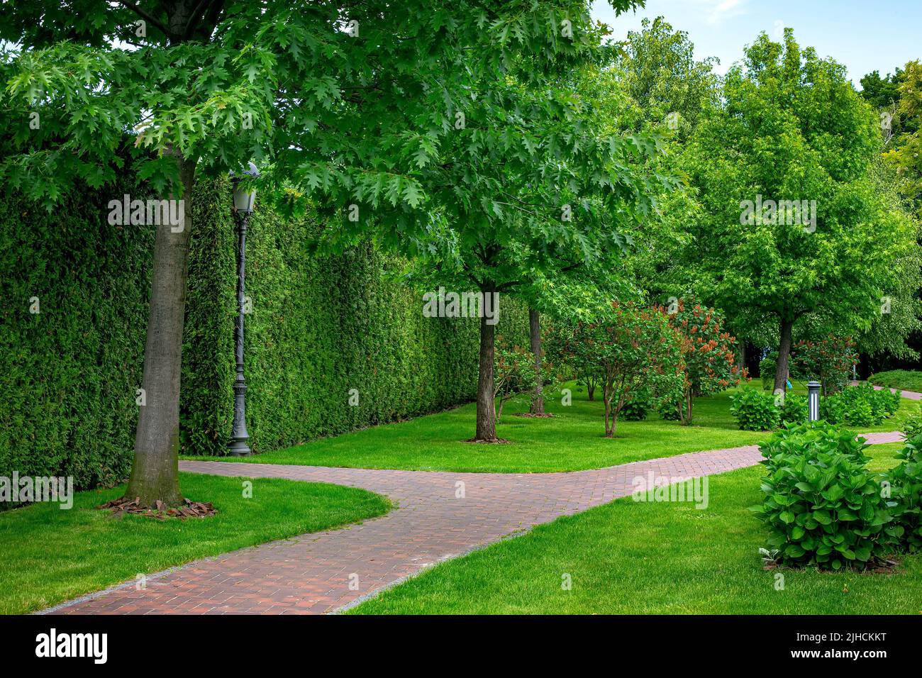 stone tile walkway curve arcing in the park among green plants of evergreen thuja hedges and mulching trees with deciduous bushes and iron ground gard Stock Photo