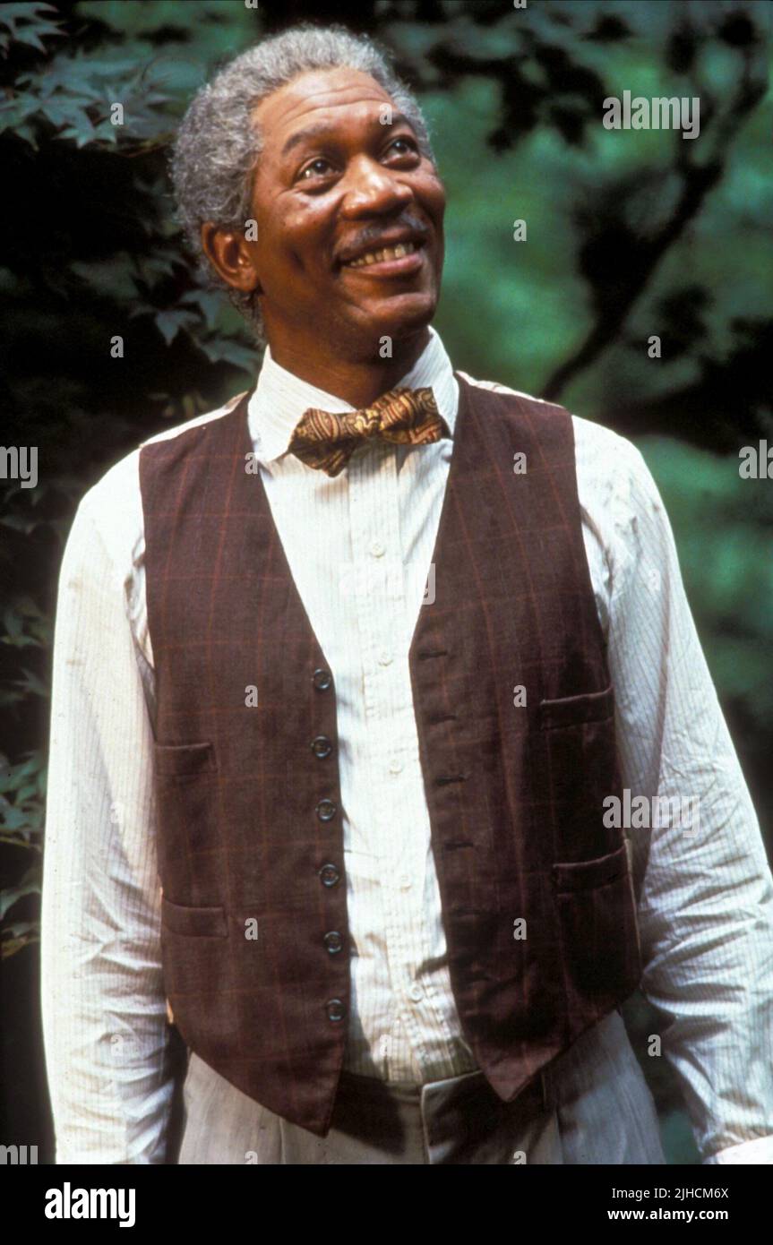 MORGAN FREEMAN, DRIVING MISS DAISY, 1989 Stock Photo