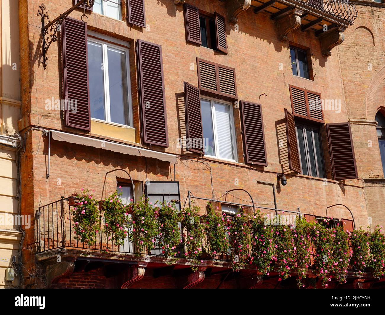 Cascading flowers down red brick facade on buildings in the Piazza del Campo, Siena, Italy, located in the heart of Tuscany. Stock Photo