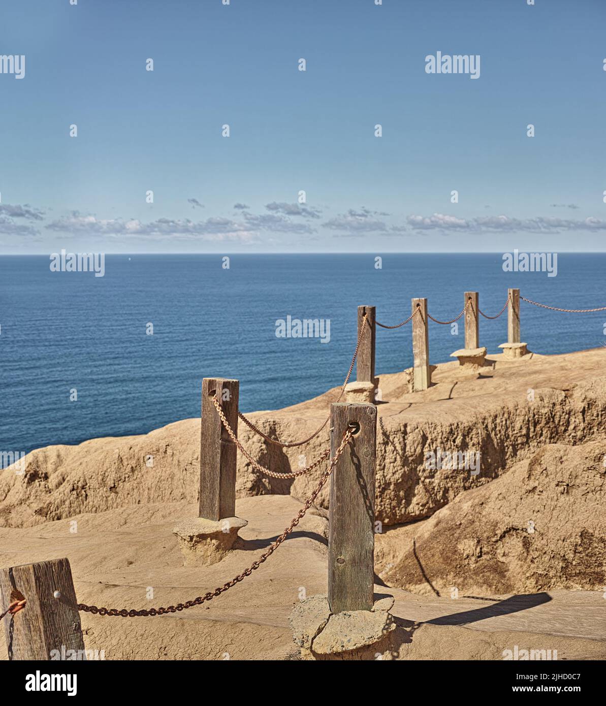 Carte Postale Torrey Pines Park, San Diego, Californie – Non Voyagée