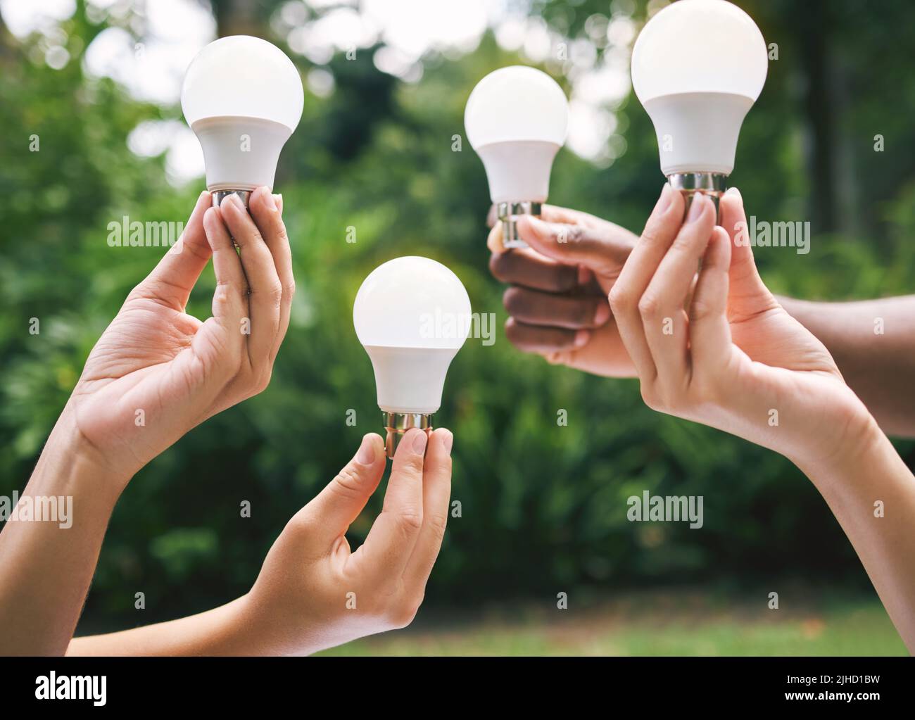 Multiple hands holding lightbulbs outside in nature. Closeup of multiethnic people holding bulbs as a concept of sustainable electricity. Multiracial Stock Photo